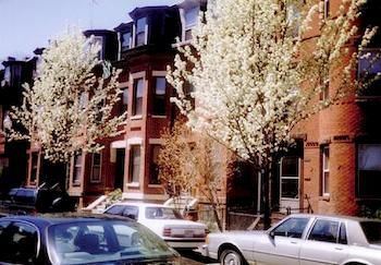 Apartament Brigham Circle Brownstone Boston Zewnętrze zdjęcie